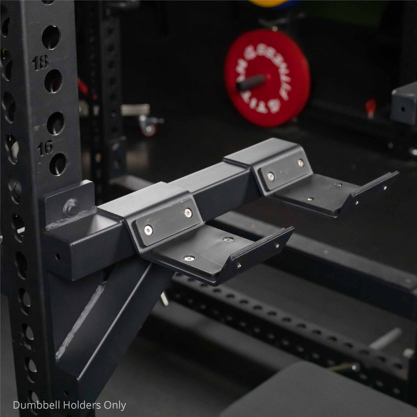 X-3 or TITAN Series Dumbbell Holders - view 4