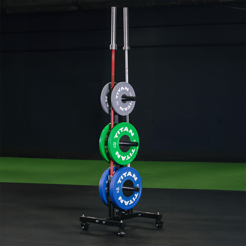 Portable Weight Plate and Barbell Storage Tree - view 2