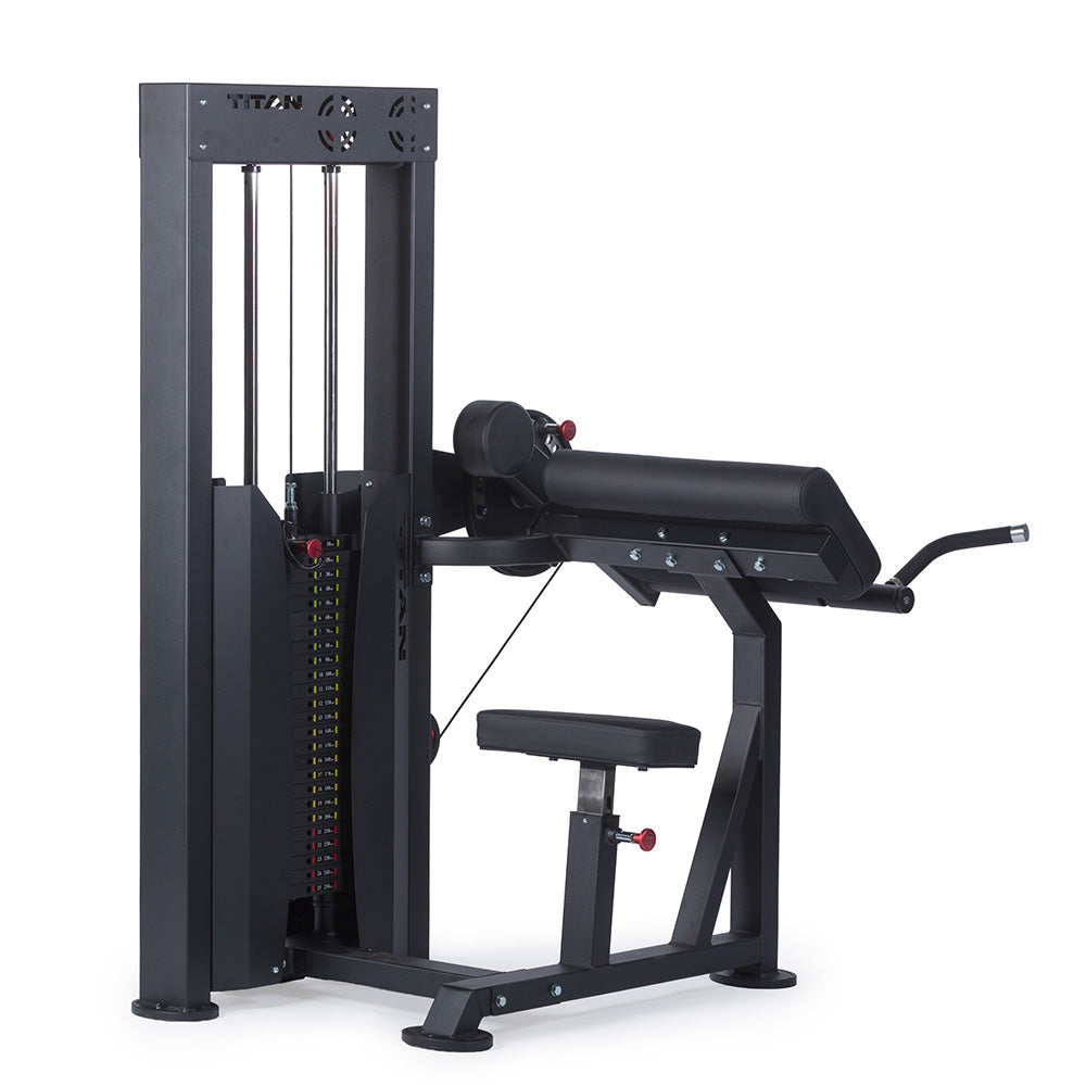 Selectorized Bicep and Tricep Machine - view 1