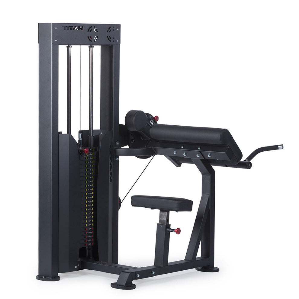 Selectorized Bicep and Tricep Machine | Titan Fitness