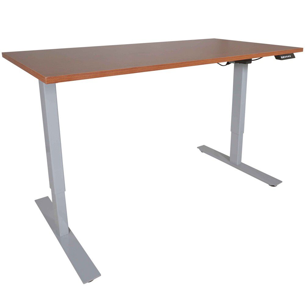 Single Motor Electric Adjustable Height A2 Sit-Stand Desk