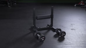 Single Leg Squat Roller