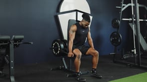 Plate Loaded Seated Dip Machine Titan Fitness